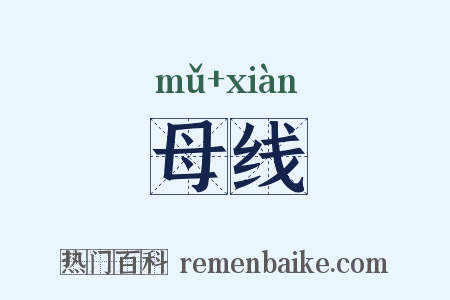 母线是什么意思的图片